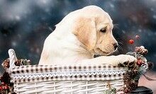 3bb40682c51f6afedfa88705f685b3dab1bee7bcb7140eb11bacf125bb487432 (2)