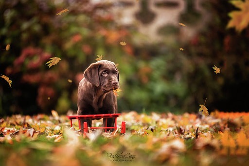 959f59a58dbc9df8127293a0cdaafb35f9ebda1a3f4b93ab01ff901b19a790d1