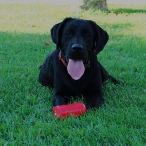 Screenshot_20250912_222317_Samsung Internet